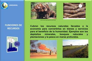 UNISANGIL




                        www.servindi.org/img/Deforestacion.jpg




FUNCIONES DE   Cubren los recursos naturales llevados a la
  RECURSOS     economía para convertirlos en bienes y servicios
               para el beneficio de la humanidad. Ejemplos son los
               depósitos    minerales,    bosques    naturales   y
               plantaciones y la pesca en mares profundos.
 