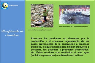 UNISANGIL




                                                        www.tecnociencia.es/.../responsabilidades.htm

                 www.mediterranea.org/cae/reserva.htm
Receptáculo de
  Sumidero
                    Absorben los productos no deseados por la
                    producción y el consumo; agotamiento de los
                    gases provenientes de la combustión o procesos
                    químicos, el agua utilizada para limpiar productos o
                    personas, los paquetes y productos desechados,
                    etc. Estos residuos son ventilados al aire, agua
                    (incluida agua marina) o enterrados en la tierra.
 