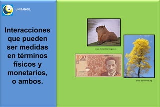 UNISANGIL




Interacciones
 que pueden
 ser medidas    www.minambiente.gov.co



 en términos
   físicos y
 monetarios,
  o ambos.                               www.darwinnet.org
 