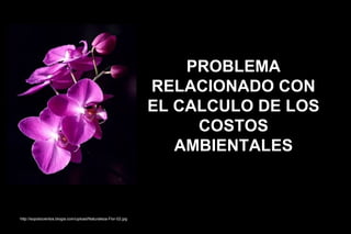 PROBLEMA
                                                                RELACIONADO CON
                                                                EL CALCULO DE LOS
                                                                     COSTOS
                                                                   AMBIENTALES



http://sopotocientos.blogia.com/upload/Naturaleza-Flor-02.jpg
 