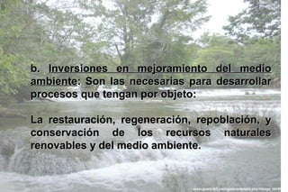 b. Inversiones en mejoramiento del medio
ambiente: Son las necesarias para desarrollar
procesos que tengan por objeto:

La restauración, regeneración, repoblación, y
conservación de los recursos naturales
renovables y del medio ambiente.


                              www.guate360.com/galeria/details.php?image_id=996
 
