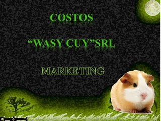 COSTOS

“WASY CUY”SRL
 