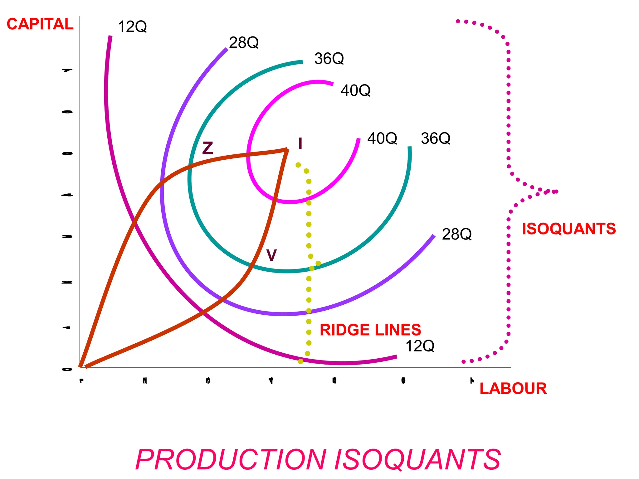 CAPITAL
LABOUR
12Q
12Q
28Q
28Q
36Q
36Q
40Q
40Q
ISOQUANTS
RIDGE LINES
PRODUCTION ISOQUANTS
V
I
Z
 