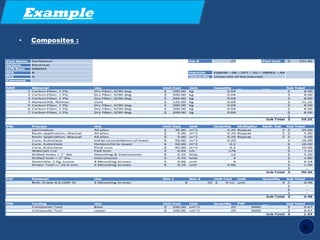 Cost report guidelines | PDF