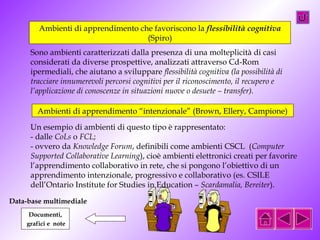 Ambienti di apprendimento che favoriscono la flessibilità cognitiva 
(Spiro) 
Sono ambienti caratterizzati dalla presenza di una molteplicità di casi 
considerati da diverse prospettive, analizzati attraverso Cd-Rom 
ipermediali, che aiutano a sviluppare flessibilità cognitiva (la possibilità di 
tracciare innumerevoli percorsi cognitivi per il riconoscimento, il recupero e 
l’applicazione di conoscenze in situazioni nuove o desuete – transfer). 
Ambienti di apprendimento “intenzionale” (Brown, Ellery, Campione) 
Un esempio di ambienti di questo tipo è rappresentato: 
- dalle CoLs o FCL; 
- ovvero da Knowledge Forum, definibili come ambienti CSCL (Computer 
Supported Collaborative Learning), cioè ambienti elettronici creati per favorire 
l’apprendimento collaborativo in rete, che si pongono l’obiettivo di un 
apprendimento intenzionale, progressivo e collaborativo (es. CSILE 
dell’Ontario Institute for Studies in Education – Scardamalia, Bereiter). 
Data-base multimediale 
Documenti, 
grafici e note 
 