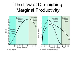 Output
Diminishing
marginal
returns
Diminishing
absolute
returns
32
30
28
26
24
22
20
18
16
14
12
10
8
6
4
2
0
1 2 3 4 5 6 7 8 9 10
Increasing
marginal
returns
Number of workers
TP
Outputperworker
1 2 3 4 5 6 7 8 9 10
Number of workers
7
6
5
4
3
2
1
0
MP
Diminishing
marginal
returns
Diminishing
absolute
returns
(a) Total product (b) Marginal and average product
AP
The Law of Diminishing
Marginal Productivity
 
