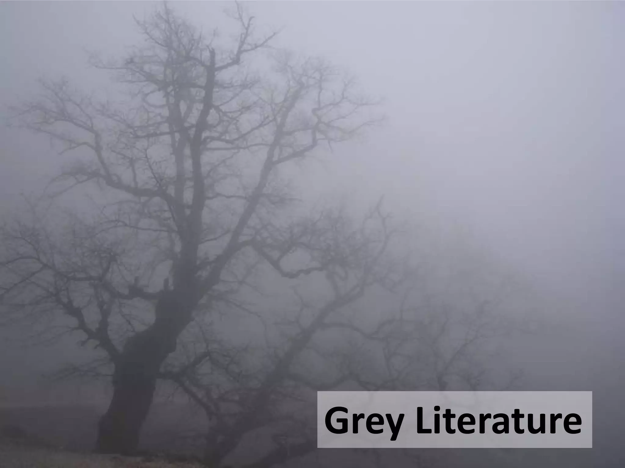 Grey Literature

 