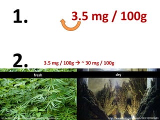 1.

3.5 mg / 100g

2.

3.5 mg / 100g  ~ 30 mg / 100g
fresh

(c) by http://www.flickr.com/photos/nick_hardcastle

dry

http://www.flickr.com/photos/f4/2339969681

 