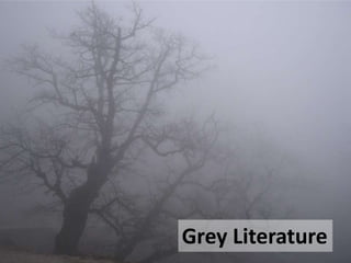 Grey Literature

 