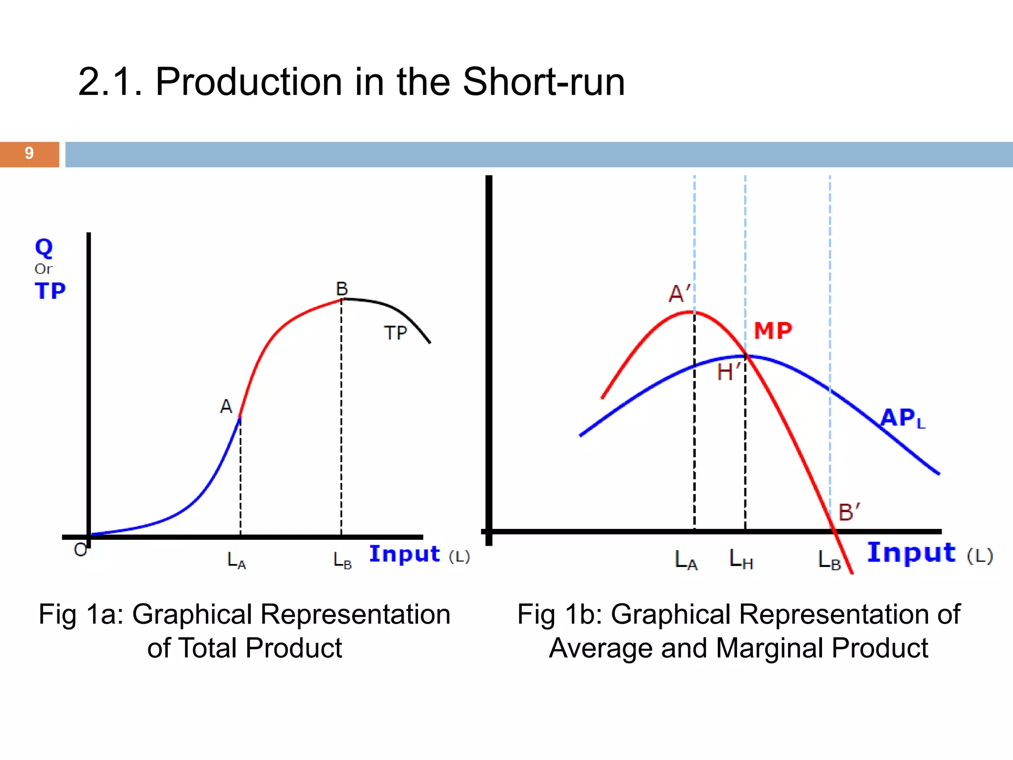 2.1. Production in the Short-run
9
Fig 1a: Graphical Representation
of Total Product
Fig 1b: Graphical Representation of
Average and Marginal Product
 