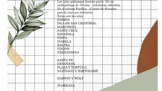 Las islas galápagos forman parte De un
archipiélago de 18 islas volcánicas ubicadas
En el océano Pacífico , al oeste de Ecuador,
país la cual son territorio.
Estas son las islas:
RABIDA
ISLA DE SAN CRISTÓBAL
MARCHENA
SANTS CRUZ
ESPAÑOLA
PINTA
ISABELA
BALTRA
PINZON
FERNANDINA
SANTA FE
GENOVESA
PLAZA Y TORTUGA
SANTIAGO Y BARTOLOMÉ
DARWIN Y WOLF
FLOREANA
 