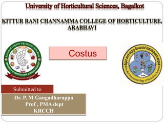 Submitted to 
Dr. P. M Gangadharappa 
Prof , PMA dept 
KRCCH 
Costus 
 