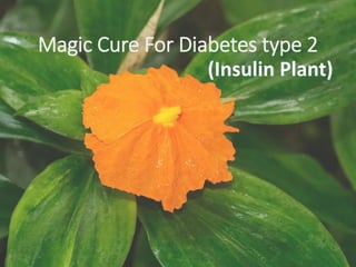 Magic Cure For Diabetes type 2
 