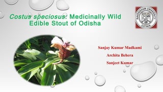 Costus speciosus: Medicinally Wild
Edible Stout of Odisha
Sanjay Kumar Madkami
Archita Behera
Sanjeet Kumar
 