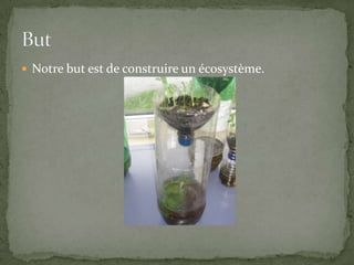 Notre but est de construire un écosystème.But