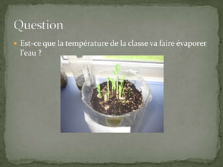 Est-ce que la température de la classe va faire évaporer l'eau ?Question