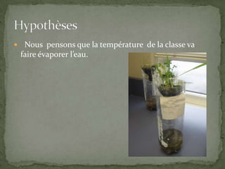   Nous  pensons que la température  de la classe va   faire évaporer l’eau.Hypothèses