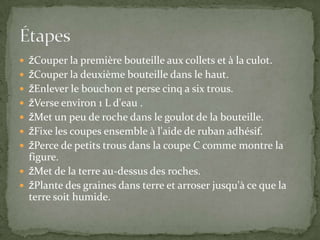 Couper la première bouteille aux collets et à la culot. Couper la deuxième bouteille dans le haut.Enlever le bouchon et perse cinq a six trous. Verse environ 1 L d'eau .Met un peu de roche dans le goulot de la bouteille. Fixe les coupes ensemble à l'aide de ruban adhésif.Perce de petits trous dans la coupe C comme montre la figure. Met de la terre au-dessus des roches. Plante des graines dans terre et arroser jusqu'à ce que la terre soit humide. Étapes
