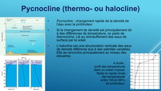 Pycnocline (thermo- ou halocline)
• Pycnocline : changement rapide de la densité de
l’eau avec la profondeur
• Si le changement de densité est principalement dû
à des différences de température, on parle de
thermocline. Lié au réchauffement des eaux de
surface par le soleil.
• L’halocline est une structuration verticale des eaux
de densité différente due à des salinités variables.
Elle se rencontre principalement au niveau des
estuaires.
A droite :
profil des températures
dans un océan tropical.
Notez la rapide chute
des températures
entre 100 et 200m
de profondeur.
 