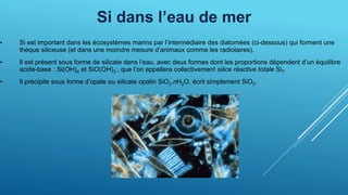 Si dans l’eau de mer
• Si est important dans les écosystèmes marins par l’intermédiaire des diatomées (ci-dessous) qui forment une
thèque siliceuse (et dans une moindre mesure d’animaux comme les radiolaires).
• Il est présent sous forme de silicate dans l’eau, avec deux formes dont les proportions dépendent d’un équilibre
acide-base : Si(OH)4 et SiO(OH)3
-, que l’on appellera collectivement silice réactive totale SiT.
• Il précipite sous forme d’opale ou silicate opalin SiO2.nH2O, écrit simplement SiO2.
 