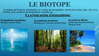  Le biotope est formé de composants non vivants de l’écosystème, comme les roches, l’eau, l’air ou la
lumière, et de conditions de température, humidité, etc….
Il y a trois sortes d’écosystèmes:
Ecosystémes aquatiques:
Biotope couvert d’eau
Ecosystèmes terrestres:
Biotope qui n’est pas couvert d’eau
Ecosytèmes Mixtes:
Zones de rencontre entre la
Terre et l’Eau
LE BIOTOPE
 
