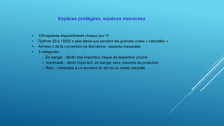Espèces protégées, espèces menacées
• 100 espèces disparaîtraient chaque jour !!!
• Rythme 20 à 10000 x plus élevé que pendant les grandes crises « naturelles »
• Annexe 2 de la convention de Barcelone : espèces menacées
• 3 catégories :
– En danger : déclin très important, risque de disparition proche
– Vulnérable : déclin important, en danger sans mesures de protection
– Rare : vulnérable à un accident du fait de sa rareté naturelle
 