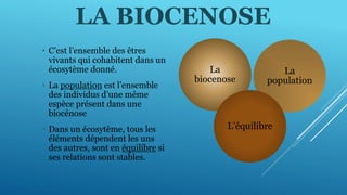 LA BIOCENOSE
• C’est l’ensemble des êtres
vivants qui cohabitent dans un
écosytème donné.
• La population est l’ensemble
des individus d’une même
espèce présent dans une
biocénose
• Dans un écosytème, tous les
éléments dépendent les uns
des autres, sont en équilibre si
ses relations sont stables.
La
biocenose
La
population
L’équilibre
 