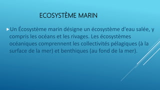ECOSYSTÈME MARIN
Un Écosystème marin désigne un écosystème d'eau salée, y
compris les océans et les rivages. Les écosystèmes
océaniques comprennent les collectivités pélagiques (à la
surface de la mer) et benthiques (au fond de la mer).
 