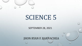 SCIENCE 5
SEPTEMBER 28, 2021
JHON RYAN F. BARNACHEA
 