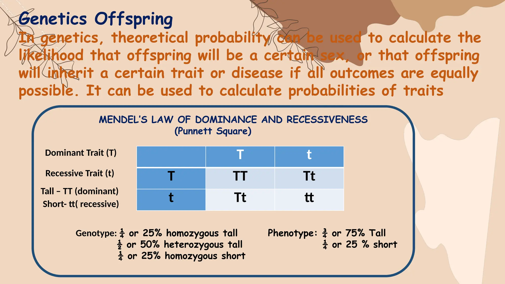 Genetics Offspring
In genetics, theoretical probability can be used to calculate the
likelihood that offspring will be a certain sex, or that offspring
will inherit a certain trait or disease if all outcomes are equally
possible. It can be used to calculate probabilities of traits
T t
T TT Tt
t Tt tt
MENDEL’S LAW OF DOMINANCE AND RECESSIVENESS
(Punnett Square)
Dominant Trait (T)
Recessive Trait (t)
Tall – TT (dominant)
Short- tt( recessive)
Genotype: ¼ or 25% homozygous tall
½ or 50% heterozygous tall
¼ or 25% homozygous short
Phenotype: ¾ or 75% Tall
¼ or 25 % short
 