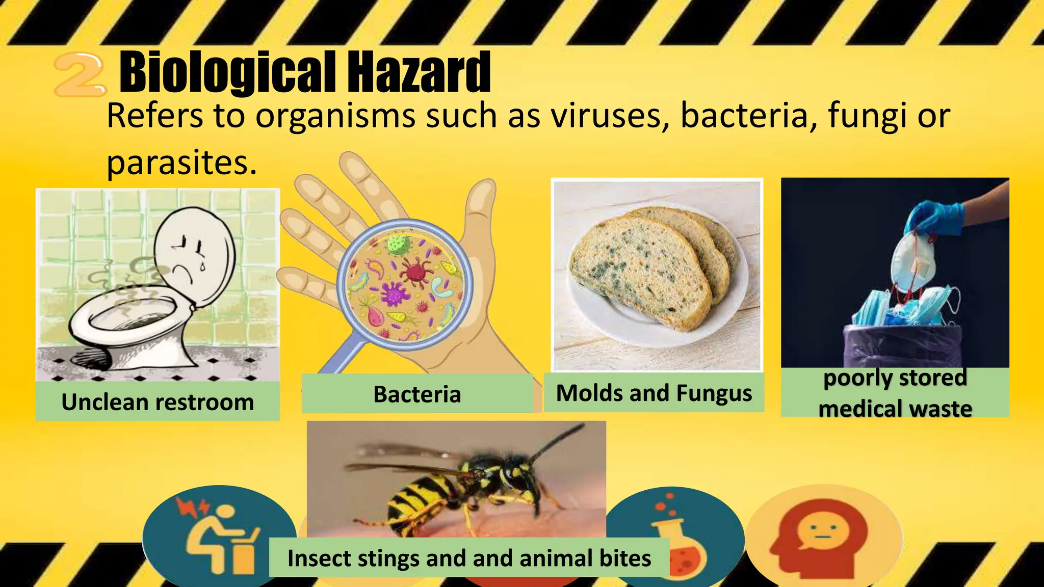 Biological Hazard
Refers to organisms such as viruses, bacteria, fungi or
parasites.
Unclean restroom Bacteria
poorly stored
medical waste
Molds and Fungus
Insect stings and and animal bites
 