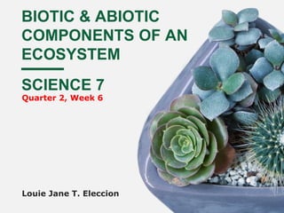 BIOTIC & ABIOTIC
COMPONENTS OF AN
ECOSYSTEM
Louie Jane T. Eleccion
SCIENCE 7
Quarter 2, Week 6
 