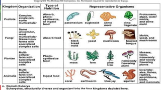 General Biology 2: Lesson No. 8 Taxonomic Classification of Life
CLASSIFICATION OF LIFE
 