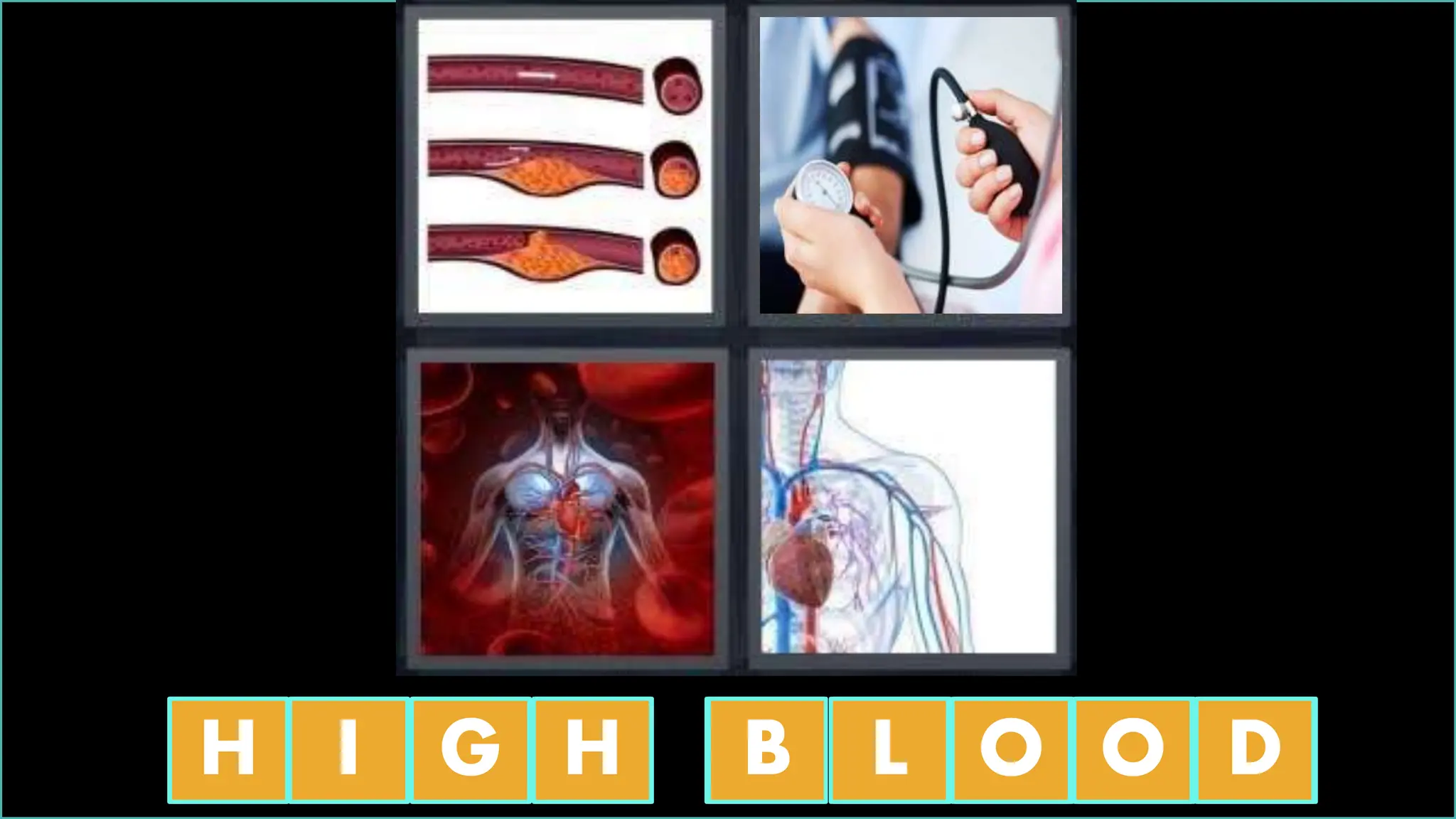 H _ _ H B _ O _ _
H I G H B L O O D
 