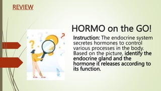 Roles of Hormones Involved in Male and Female Reproductive Systems.pptx