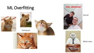 ML Overfitting
Training set
Test set
Cats, obviously!
What it sees
 