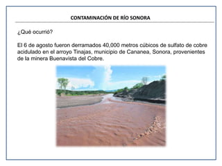 CONTAMINACIÓN DE RÍO SONORA 
¿Qué ocurrió? 
El 6 de agosto fueron derramados 40,000 metros cúbicos de sulfato de cobre 
acidulado en el arroyo Tinajas, municipio de Cananea, Sonora, provenientes 
de la minera Buenavista del Cobre. 
 
