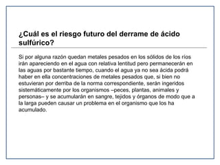 ¿Cuál es el riesgo futuro del derrame de ácido 
sulfúrico? 
Si por alguna razón quedan metales pesados en los sólidos de los ríos 
irán apareciendo en el agua con relativa lentitud pero permanecerán en 
las aguas por bastante tiempo, cuando el agua ya no sea ácida podrá 
haber en ella concentraciones de metales pesados que, si bien no 
estuvieran por derriba de la norma correspondiente, serán ingeridos 
sistemáticamente por los organismos –peces, plantas, animales y 
personas– y se acumularán en sangre, tejidos y órganos de modo que a 
la larga pueden causar un problema en el organismo que los ha 
acumulado. 
 