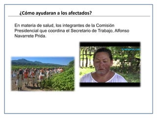 ¿Cómo ayudaran a los afectados? 
En materia de salud, los integrantes de la Comisión 
Presidencial que coordina el Secretario de Trabajo, Alfonso 
Navarrete Prida. 
 