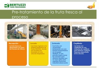 Pre-tratamiento de la fruta fresca al
  Recepción de
    Naranjas
proceso
    Frescas
 