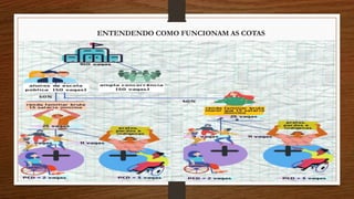 ENTENDENDO COMO FUNCIONAM AS COTAS
 