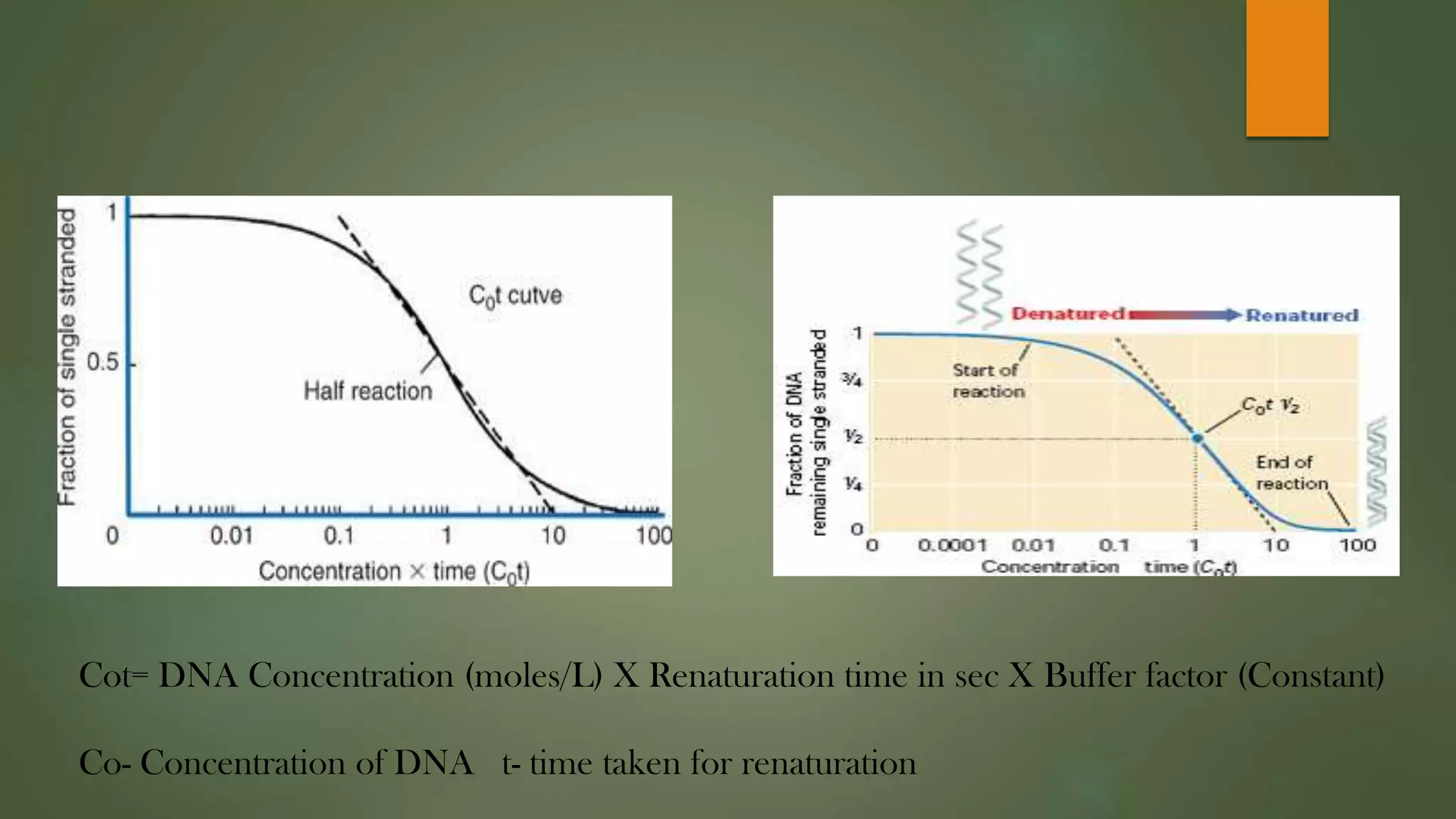 Cot Curve_Dr. Sonia.pdf