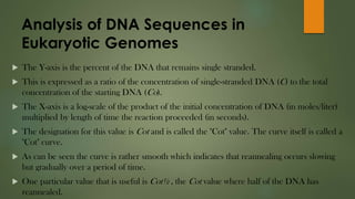 Analysis of DNA Sequences in
Eukaryotic Genomes
 The Y-axis is the percent of the DNA that remains single stranded.
 This is expressed as a ratio of the concentration of single-stranded DNA (C) to the total
concentration of the starting DNA (Co).
 The X-axis is a log-scale of the product of the initial concentration of DNA (in moles/liter)
multiplied by length of time the reaction proceeded (in seconds).
 The designation for this value is Cot and is called the "Cot" value. The curve itself is called a
"Cot" curve.
 As can be seen the curve is rather smooth which indicates that reannealing occurs slowing
but gradually over a period of time.
 One particular value that is useful is Cot½ , the Cot value where half of the DNA has
reannealed.
 