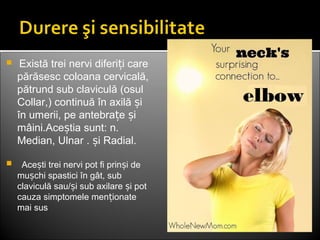   Există trei nervi diferi i careț
părăsesc coloana cervicală,
pătrund sub claviculă (osul
Collar,) continuă în axilă iș
în umerii, pe antebra e iț ș
mâini.Ace tia sunt: n.ș
Median, Ulnar . i Radial.ș
   Ace ti trei nervi pot fi prin i deș ș
mu chi spastici în gât, subș
claviculă sau/ i sub axilare i potș ș
cauza simptomele men ionateț
mai sus
 