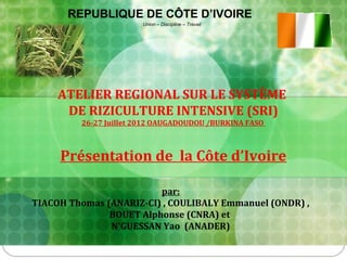 REPUBLIQUE DE CÔTE D’IVOIRE
                       Union – Discipline – Travail




     ATELIER REGIONAL SUR LE SYSTÈME
      DE RIZICULTURE INTENSIVE (SRI)
         26-27 Juillet 2012 OAUGADOUDOU /BURKINA FASO



     Présentation de la Côte d’Ivoire

                         par:
TIACOH Thomas (ANARIZ-CI) , COULIBALY Emmanuel (ONDR) ,
               BOUET Alphonse (CNRA) et
               N'GUESSAN Yao (ANADER)
 