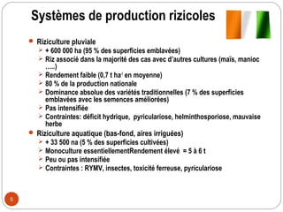 Systèmes de production rizicoles
     Riziculture pluviale
        + 600 000 ha (95 % des superficies emblavées)
        Riz associé dans la majorité des cas avec d’autres cultures (maïs, manioc
         …..)
        Rendement faible (0,7 t ha-1 en moyenne)
        80 % de la production nationale
        Dominance absolue des variétés traditionnelles (7 % des superficies
         emblavées avec les semences améliorées)
        Pas intensifiée
        Contraintes: déficit hydrique, pyriculariose, helminthosporiose, mauvaise
         herbe
     Riziculture aquatique (bas-fond, aires irriguées)
          + 33 500 na (5 % des superficies cultivées)
          Monoculture essentiellementRendement élevé = 5 à 6 t
          Peu ou pas intensifiée
          Contraintes : RYMV, insectes, toxicité ferreuse, pyriculariose



5
 