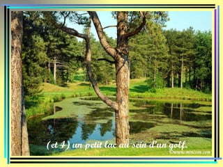 (et 4) un petit lac au sein d’un golf. 