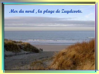Mer du nord , la plage de Zuydcoote. 