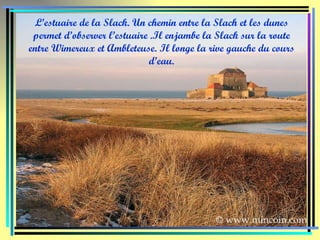 L’estuaire de la Slack. Un chemin entre la Slach et les dunes permet d’observer l’estuaire .Il enjambe la Slack sur la route entre Wimereux et Ambleteuse. Il longe la rive gauche du cours d’eau. 