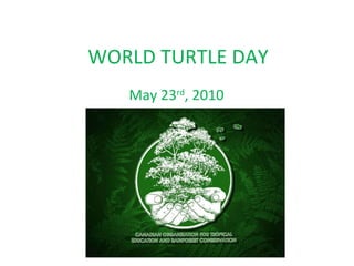 WORLD TURTLE DAY May 23 rd , 2010 